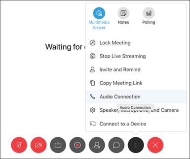 webex-audience-1