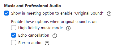 Zoom audio options