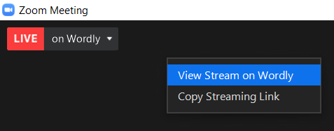 Zoom Streaming Menu